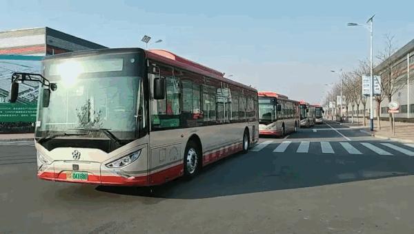 天津，历史与现代交织的活力之都