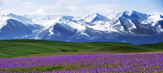 新疆,梦想起航之地,学习照亮自信之路