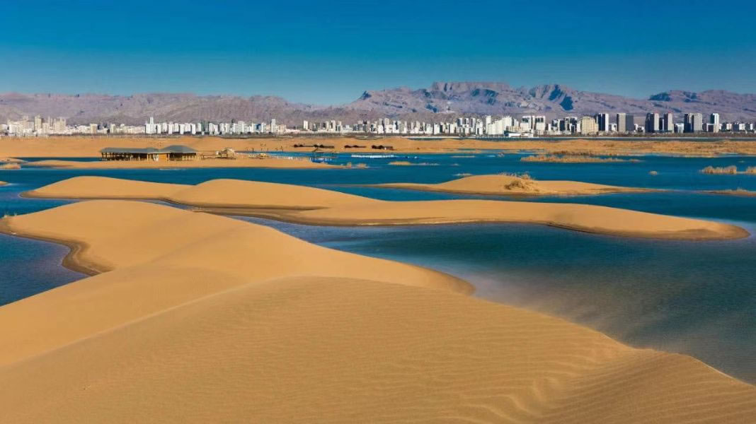 乌海巷弄深处的独特风味探索